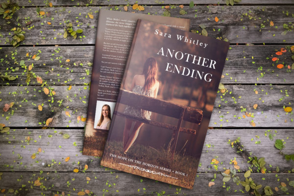 Another Ending Soft Cover - Image 2